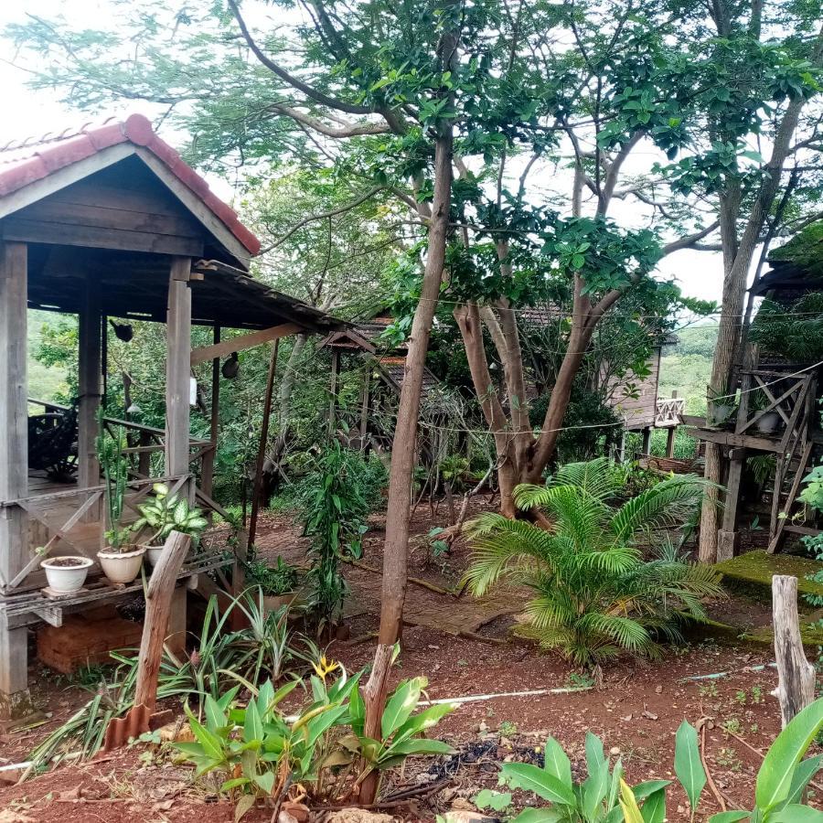 Banlung Quiet Garden View Lodge&Trekking מראה חיצוני תמונה